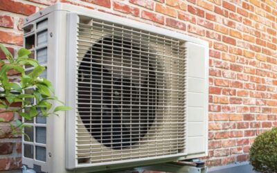 Greening Your Home 2025